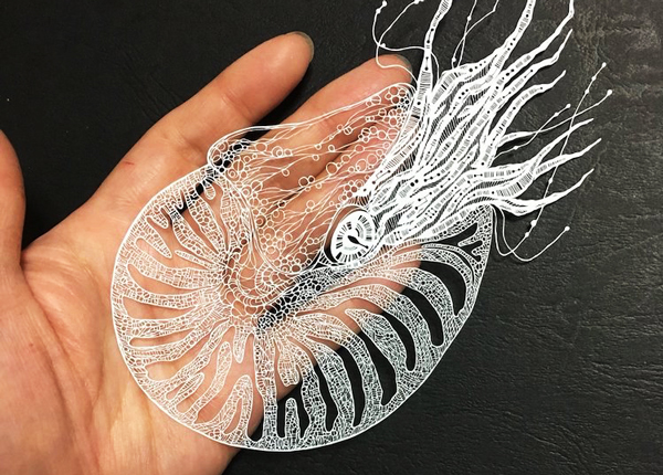 假睫毛激光切割工藝探析(圖1)